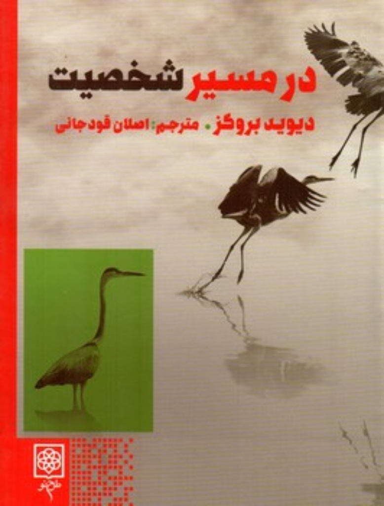 تصویر  در مسیر شخصیت (رقعی-گالینگور)